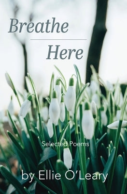 Breathe Here Paperback North Country Press