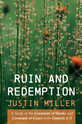 Ruin and Redemption Paperback Wipf & Stock Publishers