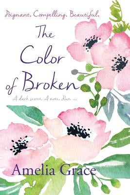The Color of Broken Paperback Lilly Pilly Publishing