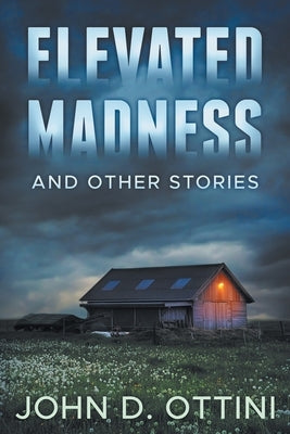 Elevated Madness and Other Stories Paperback Independently Published