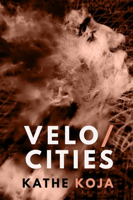 Velocities: Stories by Koja, Kathe