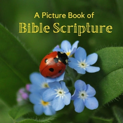 A Picture Book of Bible Scripture: A Beautiful Large Print Picture Book for Seniors With Alzheimer's or Dementia. by A Bee's Life Press