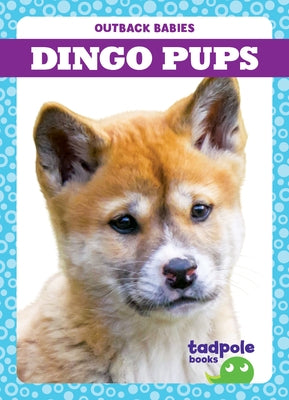 Dingo Pups Tadpole Books