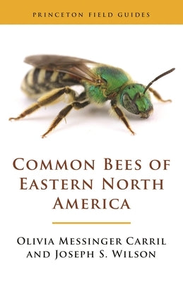 Common Bees of Eastern North America Paperback Princeton University Press