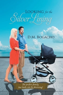 Looking for the Silver Lining Paperback Quantum Discovery