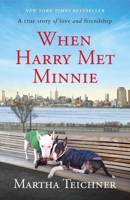 When Harry Met Minnie by Teichner, Martha