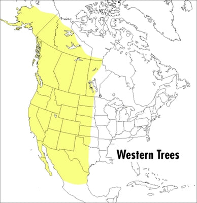 A Peterson Field Guide to Western Trees: Western United States and Canada Paperback Mariner Books