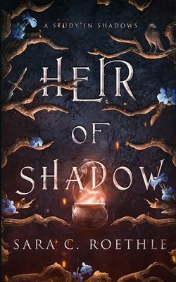 Heir of Shadow Paperback Vulture's Eye Publications