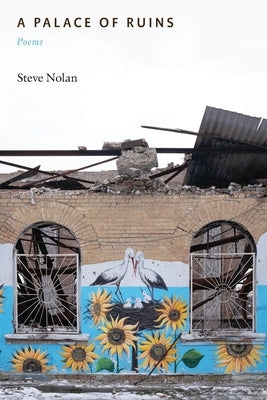 A Palace of Ruins: Poems Paperback Ragged Sky Press