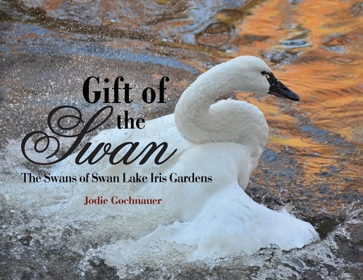 Gift of the Swan: The Swans of Swan Lake Iris Gardens by Gochnauer, Jodie