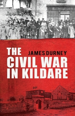 The Civil War in Kildare Paperback Mercier Press