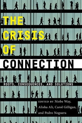 The Crisis of Connection: Roots, Consequences, and Solutions Paperback New York University Press