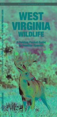 West Virginia Wildlife: An Introduction to Familiar Species by Kavanagh, James