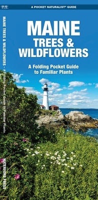 Maine Trees & Wildflowers: A Folding Pocket Guide to Familiar Plants by Kavanagh, James