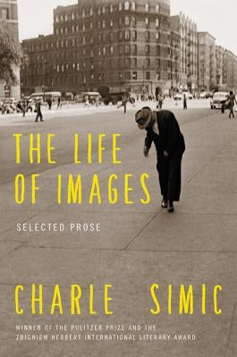The Life of Images Paperback Ecco Press