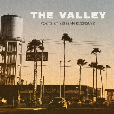 The Valley Paperback Sundress Publications