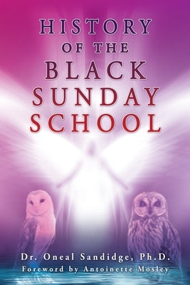 History of the Black Sunday School Paperback Xulon Press