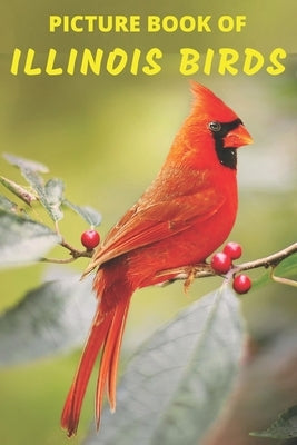 Picture Book Of Illinois Birds: Colorful Extra-Large Print Birds Pictures With Names - A Gift/Present Book for Alzheimer's Patients, Seniors/Adults wi by Books, Mountain Top