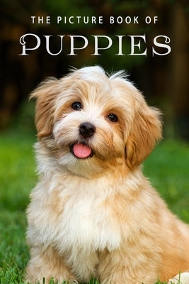 The Picture Book of Puppies: A Gift Book for Alzheimer's Patients and Seniors with Dementia by Books, Sunny Street