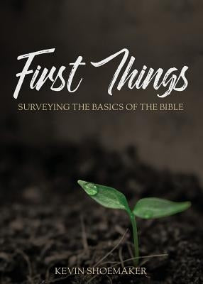 First Things: Surveying the Basics of the Bible Paperback Lucid Books