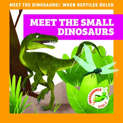 Meet the Small Dinosaurs by Donnelly, Rebecca