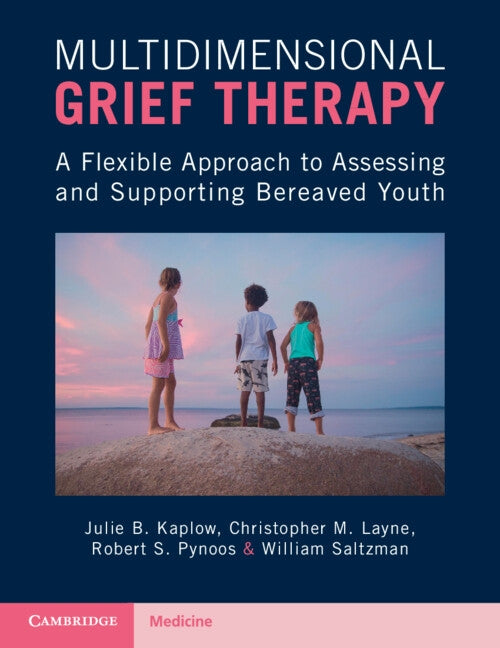 Multidimensional Grief Therapy: A Flexible Approach to Assessing and Supporting Bereaved Youth by Kaplow, Julie B.