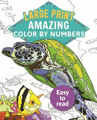 Amazing Color by Numbers Large Print by Arcturus Publishing