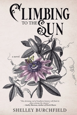 Climbing To The Sun Paperback Beanpress