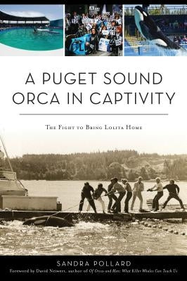 A Puget Sound Orca in Captivity: The Fight to Bring Lolita Home by Pollard, Sandra