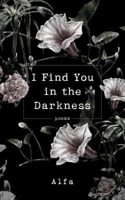 I Find You in the Darkness: Poems Paperback Castle Point Books
