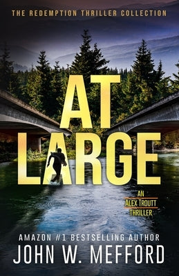 At Large Paperback Independently Published