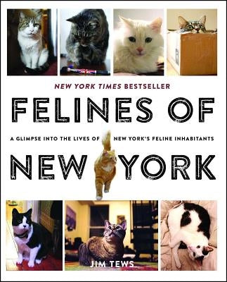 Felines of New York: A Glimpse Into the Lives of New York's Feline Inhabitants by Tews, Jim