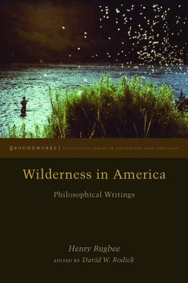 Paperback of Wilderness in America: Philosophical Writings by Fordham University Press, featuring a cover with nature-themed artwork.