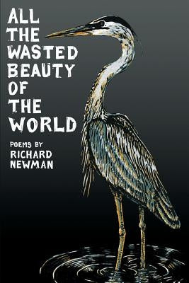 All the Wasted Beauty of the World by Newman, Richard