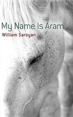 My Name Is Aram Dover Publications