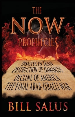 The Now Prophecies Paperback Prophecy Depot Publishing