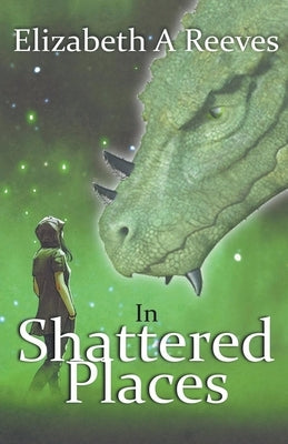 In Shattered Places Paperback Elizabeth a Reeves