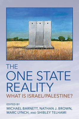 The One State Reality: What Is Israel/Palestine? Paperback Cornell University Press