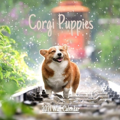 Corgi Puppies 2021 Wall calendar: Cute Corgi Puppies 2021 Wall Calendar, 18 Months 8.5x8.5 in Paperback Independently Published