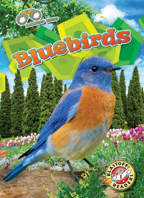 Bluebirds by Barnes, Rachael