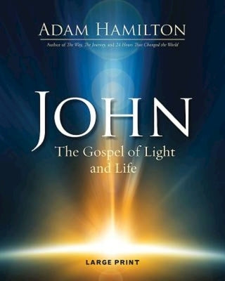John: The Gospel of Light and Life Paperback Abingdon Press