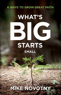 What's Big Starts Small: 6 Ways to Grow Great Faith Paperback Bethany House Publishers