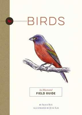 Birds: An Illustrated Field Guide by Sun, Alice