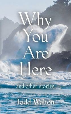 Why You Are Here: and other stories by Walton, Todd