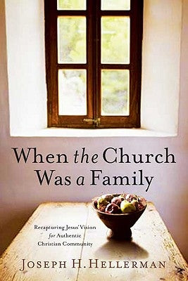 When the Church Was a Family: Recapturing Jesus' Vision for Authentic Christian Community Paperback B&H Publishing Group
