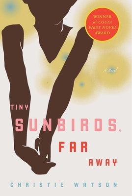 Tiny Sunbirds, Far Away Paperback Other Press (NY)