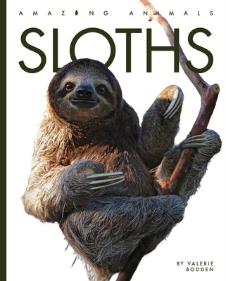 Sloths Paperback Creative Paperbacks