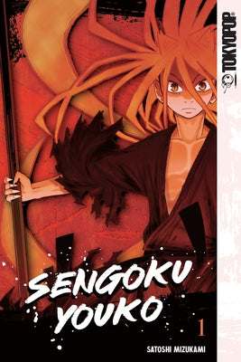 Sengoku Youko, Volume 1: Volume 1 by Satoshi Mizukami