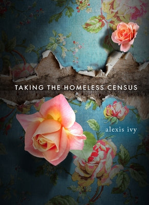 Taking the Homeless Census Paperback Saturnalia Books