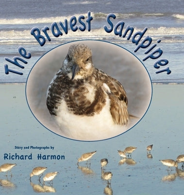 The Bravest Sandpiper by Harmon, Richard